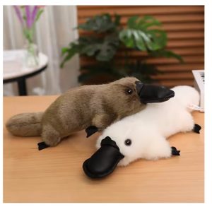 Platypus Cuddly Toy