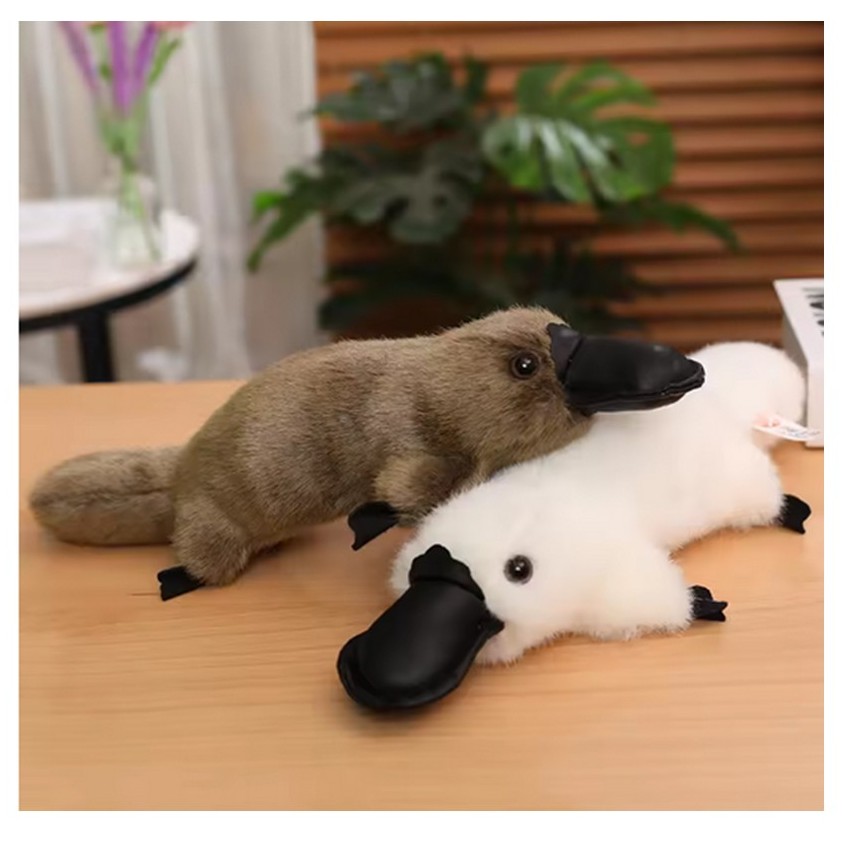 Platypus Cuddly Toy 1 Platypus Cuddly Toy