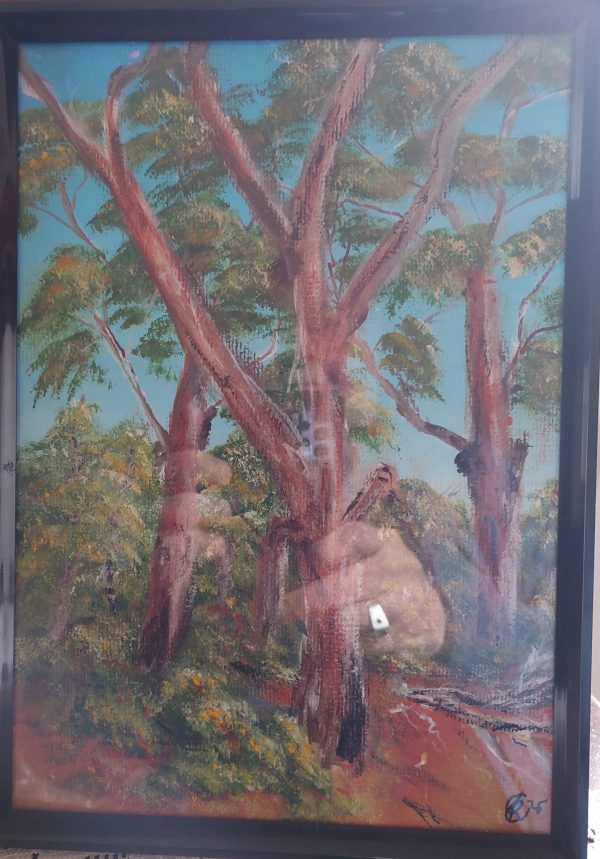 Picture of beautiful Gums