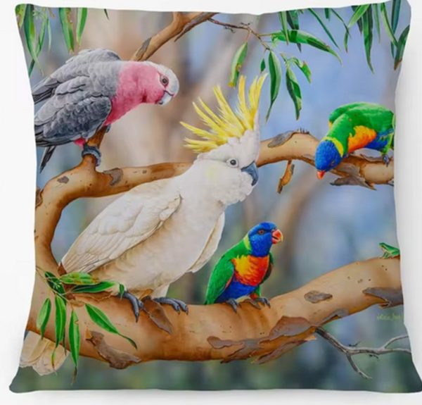 Colourful Australian birds on cushion cover