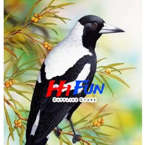 Diamond art Magpie on branch