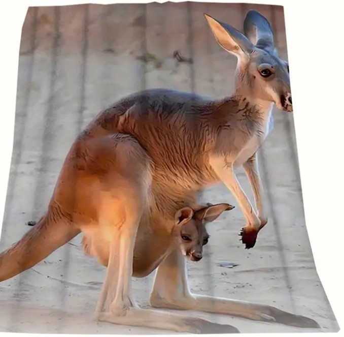 Discover the Magic of Australian-Themed Products 7 Throe rug with picture of kangaroo
