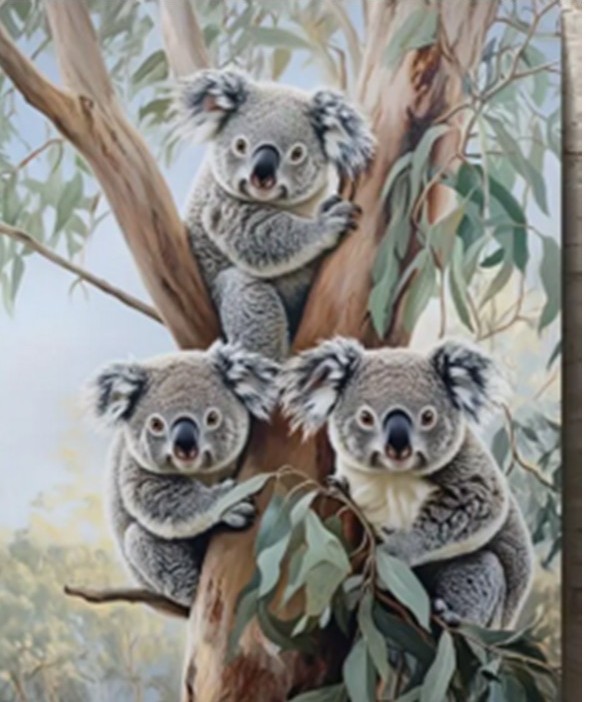 Stunning Canvas Prints Featuring Iconic Birds and Animals of Australia 4 Three koalas sitting in a tree
