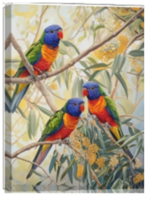 Stunning Canvas Prints Featuring Iconic Birds and Animals of Australia 3 Stunning Canvas Prints Featuring Iconic Birds and Animals of Australia - Image 3