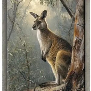 Kangaroo